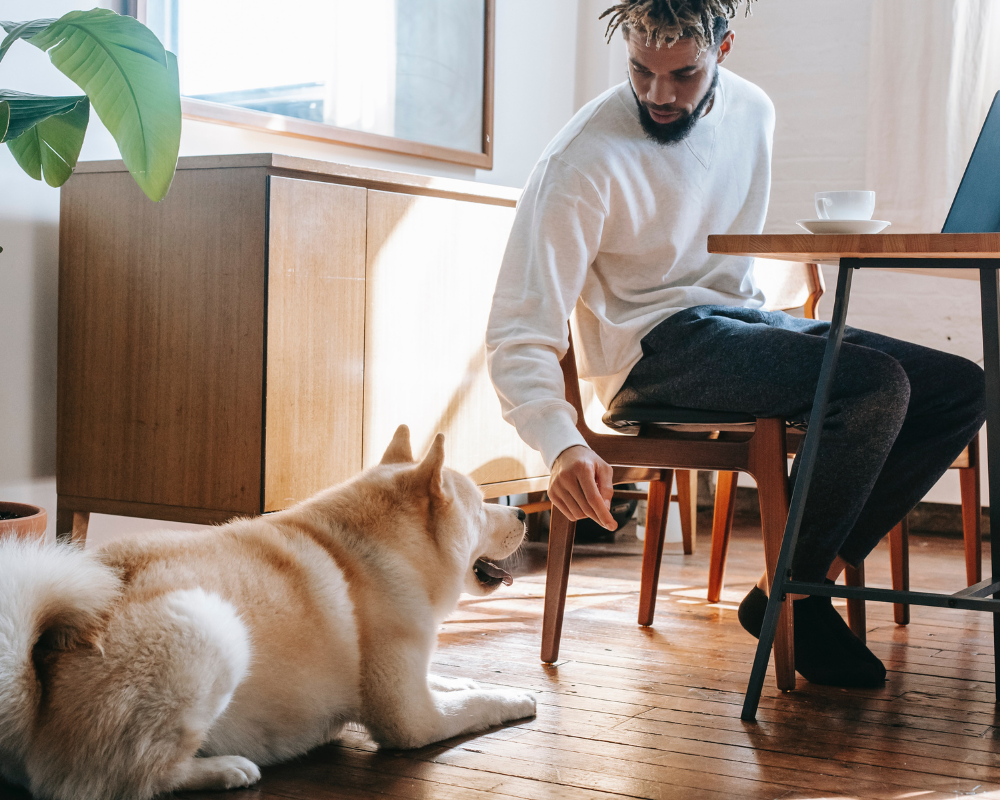 A man taking a cup of tea, playing with his dog